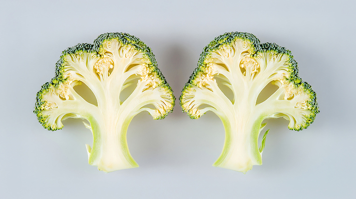 JPG 편집이미지 음식 채소 식재료 단면 건강 사람없음 초록색 흰색 신선 브로콜리 편집실사 AI포토 AI콘텐츠 컬러 CG 파일형식