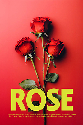 PSD 편집이미지 포스터 잎 타이포그라피 사람없음 빨간색 장미 로맨틱 세송이 이미지편집 식물 문자 꽃 컬러 컨셉 3 파일형식