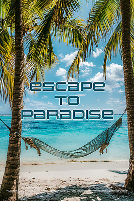 PSD 구름 편집이미지 하늘 휴식 그림자 해변 사람없음 모래사장 야자수 여름풍경 휴양지 해먹 이미지편집 자연요소 나무 바다 컨셉 풍경 장소 침대 파일형식 여름_계절