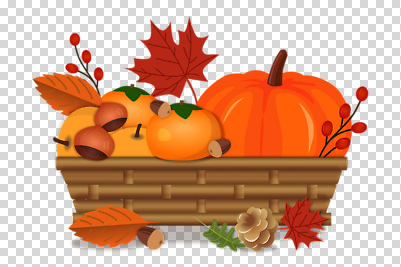 편집이미지 단풍 감 누끼 사람없음 바구니 주황색 배 밤 도토리 솔방울 PNG 컬러 잎 과일 견과류 파일형식