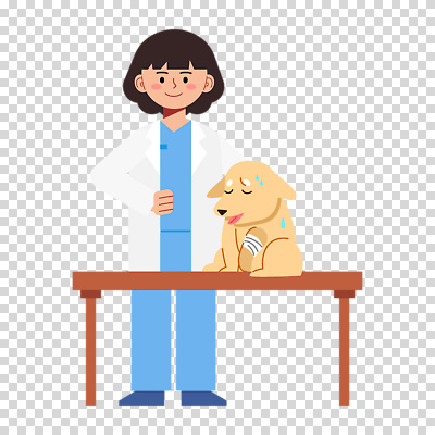 전신 편집이미지 여자 허리손 한명 미소 누끼 성인 치료 의사가운 강아지 붕대 PNG 수의사 다침 수술대 성인여자한명만 땀흘리기 1 포즈 컨셉 의학 표정 사람 반려동물 의사 가운 개 여자한명만 성인여자만 파일형식