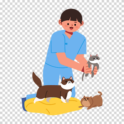 전신 편집이미지 남자 쿠션 한명 미소 들기 누끼 성인 고양이 PNG 수의사 성인남자한명만 1 포유류 모션 표정 사람 반려동물 의사 남자한명만 성인남자만 파일형식