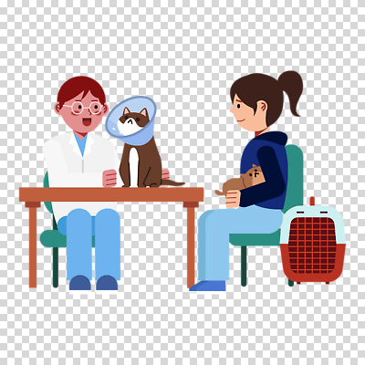 전신 편집이미지 여자 남자 의자 안기 미소 누끼 앉기 성인 두명 고양이 의사가운 책상 PNG 수의사 진료대 성인만 안경낌 넥카라 켄넬 안경 가구 포유류 모션 표정 사람 반려동물 진료 의사 가운 파일형식 반려용품