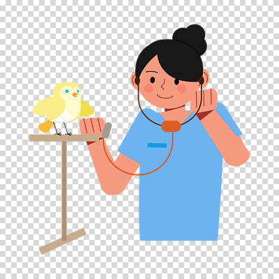 편집이미지 여자 청진기 조류 한명 미소 들기 누끼 상반신 성인 진료 잡기 PNG 수의사 성인여자한명만 동물 1 의학 의료기기 모션 표정 사람 의사 여자한명만 성인여자만 파일형식