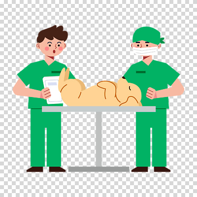전신 편집이미지 남자 들기 누끼 성인 두명 눕기 강아지 수술복 PNG 수의사 마취 수술대 수술모 수술용마스크 진료기록부 성인남자만 모션 마스크 사람 반려동물 진료 의사 가운 개 남자만 성인만 파일형식