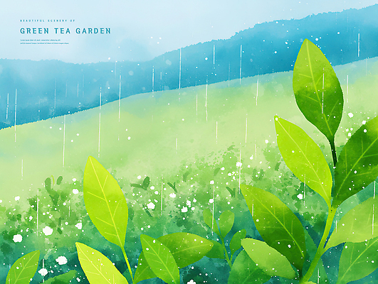 PSD 잎 일러스트 자연 수채화 산 사람없음 초록색 여름풍경 비 감성 녹차밭 싱그러움 국내일러스트 자연요소 식물 컬러 컨셉 밭 날씨 풍경 녹차 생태계 파일형식 여름_계절