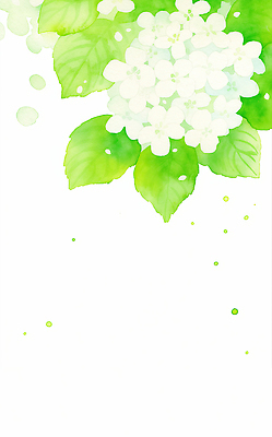 JPG 잎 꽃백그라운드 일러스트 수채화 사람없음 연두색 수국 국내일러스트 AI일러스트 AI콘텐츠 식물 꽃 백그라운드 초록색 파일형식