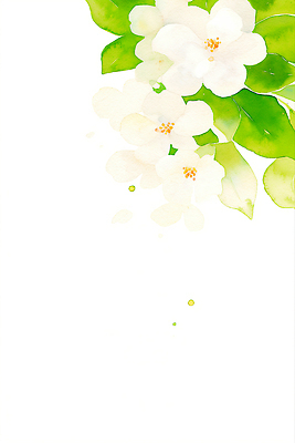 JPG 잎 꽃백그라운드 일러스트 봄꽃 수채화 사람없음 흰색 국내일러스트 AI일러스트 AI콘텐츠 식물 꽃 컬러 백그라운드 봄 파일형식