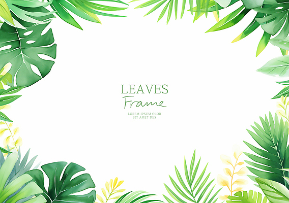 PSD 꽃 일러스트 나뭇잎 프레임 사람없음 초록색 여름 몬스테라 열대잎 카피스페이스 트로피컬아트 국내일러스트 식물 계절 컬러 잎 공백 그림 파일형식