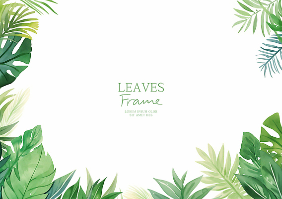 PSD 일러스트 나뭇잎 프레임 사람없음 초록색 여름 몬스테라 열대잎 카피스페이스 트로피컬아트 국내일러스트 식물 계절 컬러 잎 공백 그림 파일형식