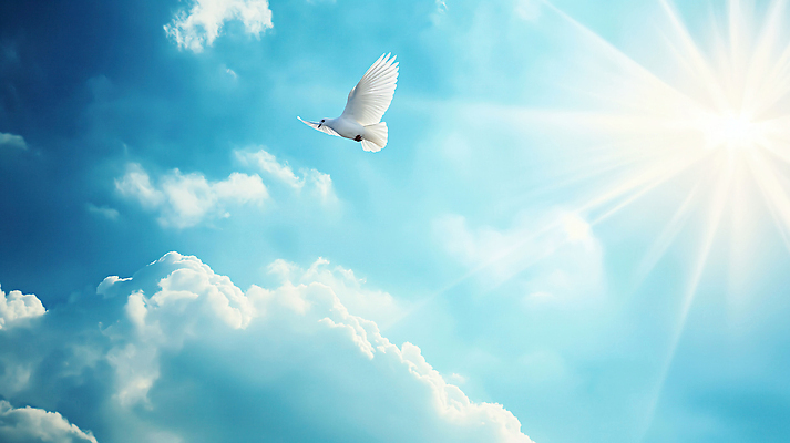 JPG 구름 편집이미지 날개 하늘 사람없음 빛 햇빛 평화 희망 순수 신성 백비둘기 편집실사 AI포토 AI콘텐츠 자연요소 감정 컨셉 태양 CG 비둘기 파일형식