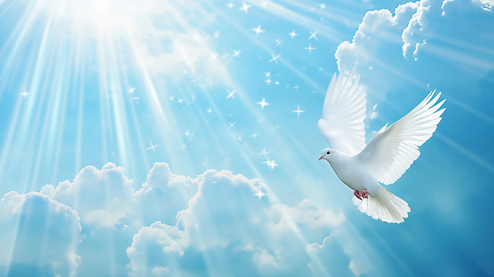 JPG 구름 편집이미지 하늘색 날개 하늘 사람없음 빛 반짝임 평화 희망 순수 신성 백비둘기 편집실사 AI포토 AI콘텐츠 자연요소 감정 컨셉 모션 파란색 CG 비둘기 파일형식