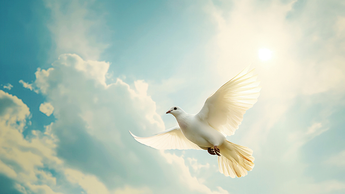 JPG 구름 편집이미지 날개 하늘 사람없음 빛 햇빛 평화 희망 순수 신성 백비둘기 편집실사 AI포토 AI콘텐츠 자연요소 감정 컨셉 태양 CG 비둘기 파일형식