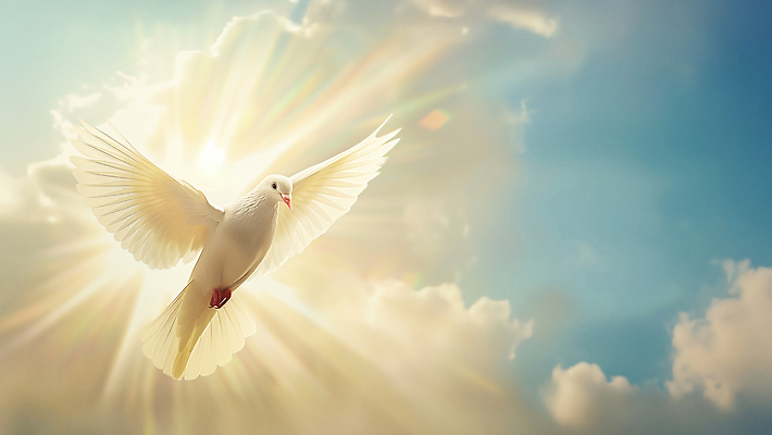 JPG 구름 편집이미지 날개 하늘 사람없음 빛 햇빛 평화 희망 순수 신성 백비둘기 편집실사 AI포토 AI콘텐츠 자연요소 감정 컨셉 태양 CG 비둘기 파일형식