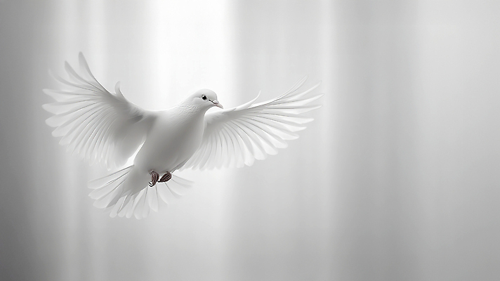 JPG 편집이미지 날개 하늘 사람없음 평화 희망 흰색 순수 백비둘기 편집실사 AI포토 AI콘텐츠 감정 컬러 컨셉 CG 비둘기 파일형식