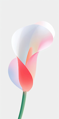 JPG 분홍색 한송이 일러스트 사람없음 카라 심플 그라데이션 국내일러스트 AI일러스트 AI콘텐츠 1 꽃 컬러 송이 파일형식