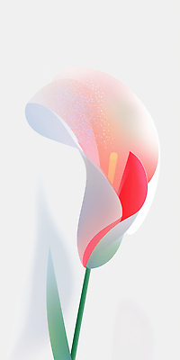 JPG 분홍색 잎 한송이 일러스트 그림자 사람없음 카라 심플 그라데이션 국내일러스트 AI일러스트 AI콘텐츠 식물 1 꽃 컬러 송이 파일형식