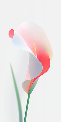 JPG 분홍색 잎 한송이 일러스트 사람없음 카라 심플 그라데이션 국내일러스트 AI일러스트 AI콘텐츠 식물 1 꽃 컬러 송이 파일형식