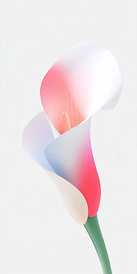 JPG 분홍색 한송이 일러스트 사람없음 카라 심플 그라데이션 국내일러스트 AI일러스트 AI콘텐츠 1 꽃 컬러 송이 파일형식