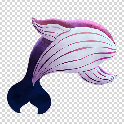 편집이미지 한마리 누끼 사람없음 보라색 신비 고래 PNG 1 컬러 컨셉 포유류 수중동물 파일형식