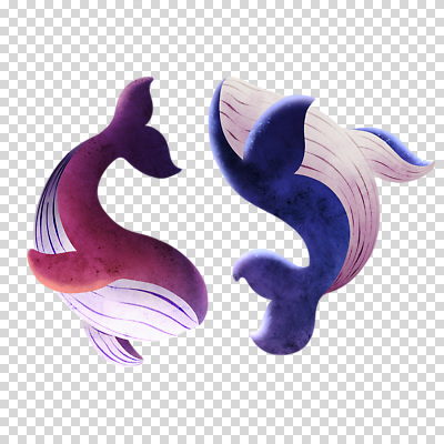 편집이미지 두마리 누끼 사람없음 보라색 신비 고래 PNG 컬러 컨셉 2 포유류 수중동물 파일형식