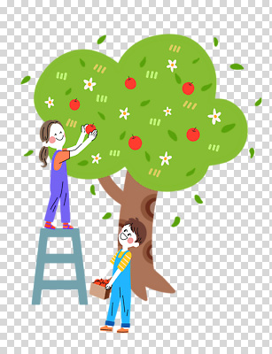 전신 편집이미지 여자 남자 꽃 어린이 잎 사다리 미소 들기 누끼 소녀 소년 두명 사과나무 PNG 사과따기 사과상자 어린이만 나무 식물 모션 표정 사람 상자 수확 도구 사과 파일형식