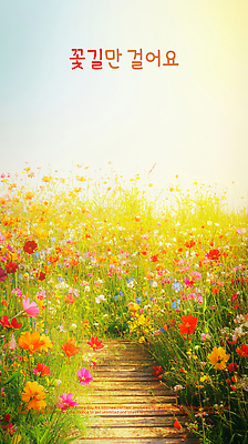 PSD 구름 편집이미지 자연 하늘 사람없음 햇빛 노을 감성 꽃길 이미지편집 자연요소 길 컨셉 태양 생태계 파일형식