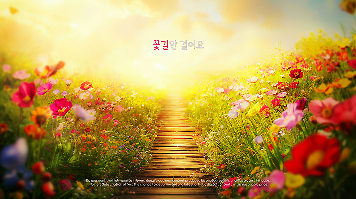 PSD 구름 편집이미지 자연 하늘 사람없음 햇빛 노을 감성 꽃길 이미지편집 자연요소 길 컨셉 태양 생태계 파일형식