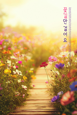 PSD 편집이미지 자연 사람없음 햇빛 노을 감성 꽃길 이미지편집 자연요소 길 컨셉 태양 생태계 파일형식