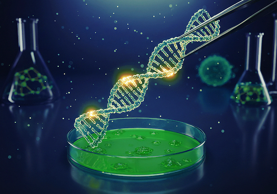 JPG 편집이미지 실험 사람없음 초록색 빛 DNA 생명공학 남색 친환경 보케 삼각플라스크 핀셋 바이오 유리접시 기술과학 편집실사 AI컴퓨터그래픽 AI콘텐츠 접시 컬러 과학 의학 환경 도구 플라스크 CG 파일형식
