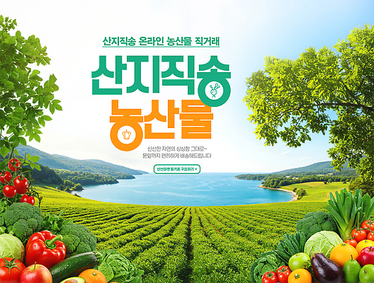 PSD 편집이미지 오렌지 방울토마토 오이 파프리카 사람없음 연두색 농작물 당근 농촌 신선 사과 브로콜리 양배추 온라인 아보카도 대파 채소밭 직거래 산지직송 이미지편집 밭 농업 토마토 채소 과일 뿌리채소 초록색 거래 시골 배송 파 파일형식 직송