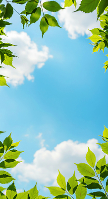 JPG 구름 편집이미지 하늘색 하늘 나뭇잎 그림자 사람없음 맑음 여름풍경 화창 편집실사 AI포토 AI콘텐츠 자연요소 잎 날씨 풍경 파란색 CG 파일형식 여름_계절