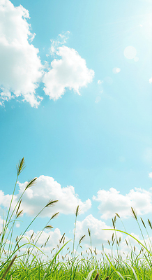 JPG 구름 편집이미지 하늘색 하늘 사람없음 햇빛 맑음 여름풍경 풀 화창 편집실사 AI포토 AI콘텐츠 자연요소 식물 날씨 풍경 파란색 태양 CG 파일형식 여름_계절