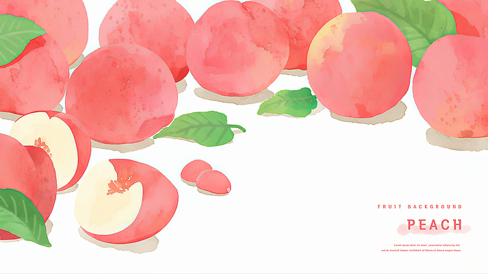PSD 분홍색 잎 일러스트 단면 수채화 사람없음 여름 복숭아 제철과일 국내일러스트 식물 계절 컬러 과일 제철 파일형식