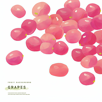 PSD 일러스트 수채화 사람없음 여름 보라색 포도알 카피스페이스 제철과일 국내일러스트 계절 컬러 과일 포도 공백 제철 파일형식