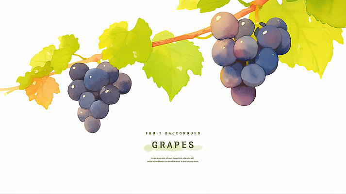 PSD 잎 일러스트 포도 수채화 사람없음 여름 보라색 제철과일 국내일러스트 식물 계절 컬러 과일 제철 파일형식