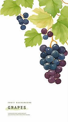 PSD 잎 일러스트 포도 수채화 사람없음 여름 보라색 카피스페이스 제철과일 국내일러스트 식물 계절 컬러 과일 공백 제철 파일형식