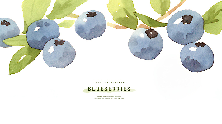 PSD 잎 일러스트 수채화 사람없음 여름 파란색 블루베리 카피스페이스 제철과일 국내일러스트 식물 계절 컬러 과일 공백 제철 파일형식