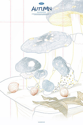 PSD 일러스트 자연 동화 수채화 사람없음 버섯 가을 스케치 라인아트 도토리 국내일러스트 계절 선 미술 견과류 생태계 파일형식