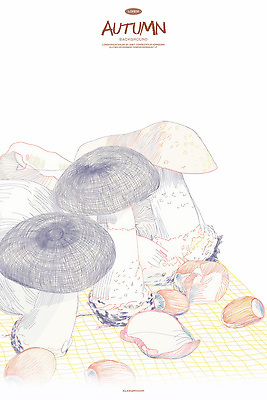 PSD 일러스트 자연 동화 수채화 사람없음 버섯 껍질 가을 스케치 라인아트 도토리 국내일러스트 계절 선 미술 견과류 생태계 파일형식