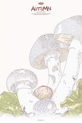 PSD 일러스트 자연 동화 수채화 사람없음 버섯 가을 스케치 라인아트 국내일러스트 계절 선 미술 생태계 파일형식