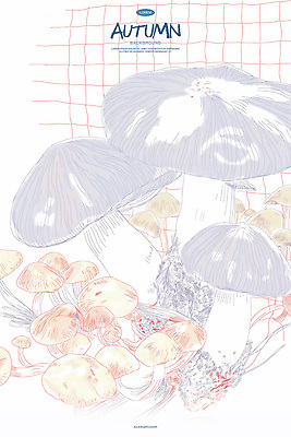 PSD 일러스트 자연 동화 수채화 사람없음 버섯 가을 스케치 라인아트 국내일러스트 계절 선 미술 생태계 파일형식