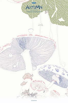 PSD 잎 일러스트 자연 동화 수채화 사람없음 버섯 가을 스케치 라인아트 국내일러스트 식물 계절 선 미술 생태계 파일형식