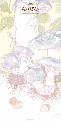 PSD 식물 기독교 백그라운드 잎 일러스트 캘리그라피 자연 동화 수채화 타이포그라피 사람없음 평화 믿음 버섯 가을 편안함 스케치 라인아트 청록색 도토리 카피스페이스 국내일러스트 문자 계절 감정 종교 선 컬러 컨셉 미술 공백 견과류 감각 생태계 파일형식