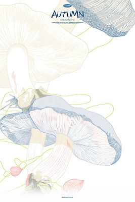 PSD 식물 기독교 백그라운드 일러스트 캘리그라피 자연 동화 수채화 타이포그라피 사람없음 평화 믿음 버섯 가을 편안함 스케치 라인아트 청록색 도토리 카피스페이스 국내일러스트 문자 계절 감정 종교 선 컬러 컨셉 미술 공백 견과류 감각 생태계 파일형식