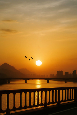 JPG 구름 편집이미지 조류 하늘 풍경 빌딩 사람없음 태양 일출 노을 도시 한강 가교 편집실사 AI포토 AI콘텐츠 자연요소 동물 건축물 서울 건물 CG 랜드마크 파일형식