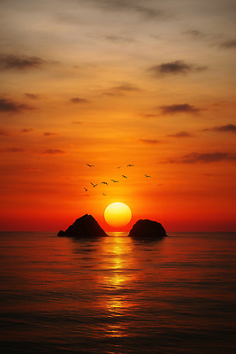 JPG 구름 편집이미지 바다 섬 자연 조류 하늘 풍경 사람없음 태양 일출 노을 편집실사 AI포토 AI콘텐츠 자연요소 동물 CG 생태계 파일형식