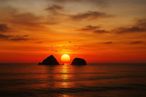 JPG 구름 편집이미지 바다 섬 자연 조류 하늘 풍경 사람없음 태양 일출 노을 편집실사 AI포토 AI콘텐츠 자연요소 동물 CG 생태계 파일형식