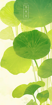 PSD 일러스트 사람없음 연두색 하이앵글 연잎 국내일러스트 뷰포인트 잎 초록색 파일형식