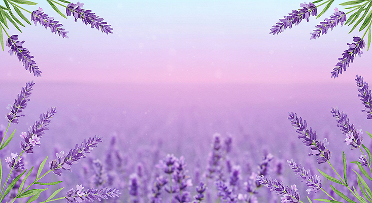 JPG 잎 꽃밭 꽃백그라운드 일러스트 여름꽃 하늘 수채화 사람없음 보라색 라벤더 꽃프레임 카피스페이스 국내일러스트 AI일러스트 AI콘텐츠 식물 꽃 컬러 백그라운드 프레임 공백 허브 파일형식 여름_계절